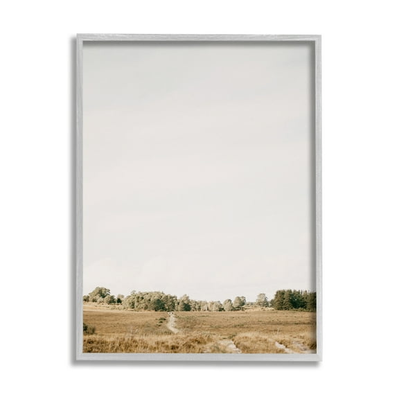 Stupell Industries Country Sky Photography Landscape Photography Gray Framed Art Print Wall Art, 11 x 14