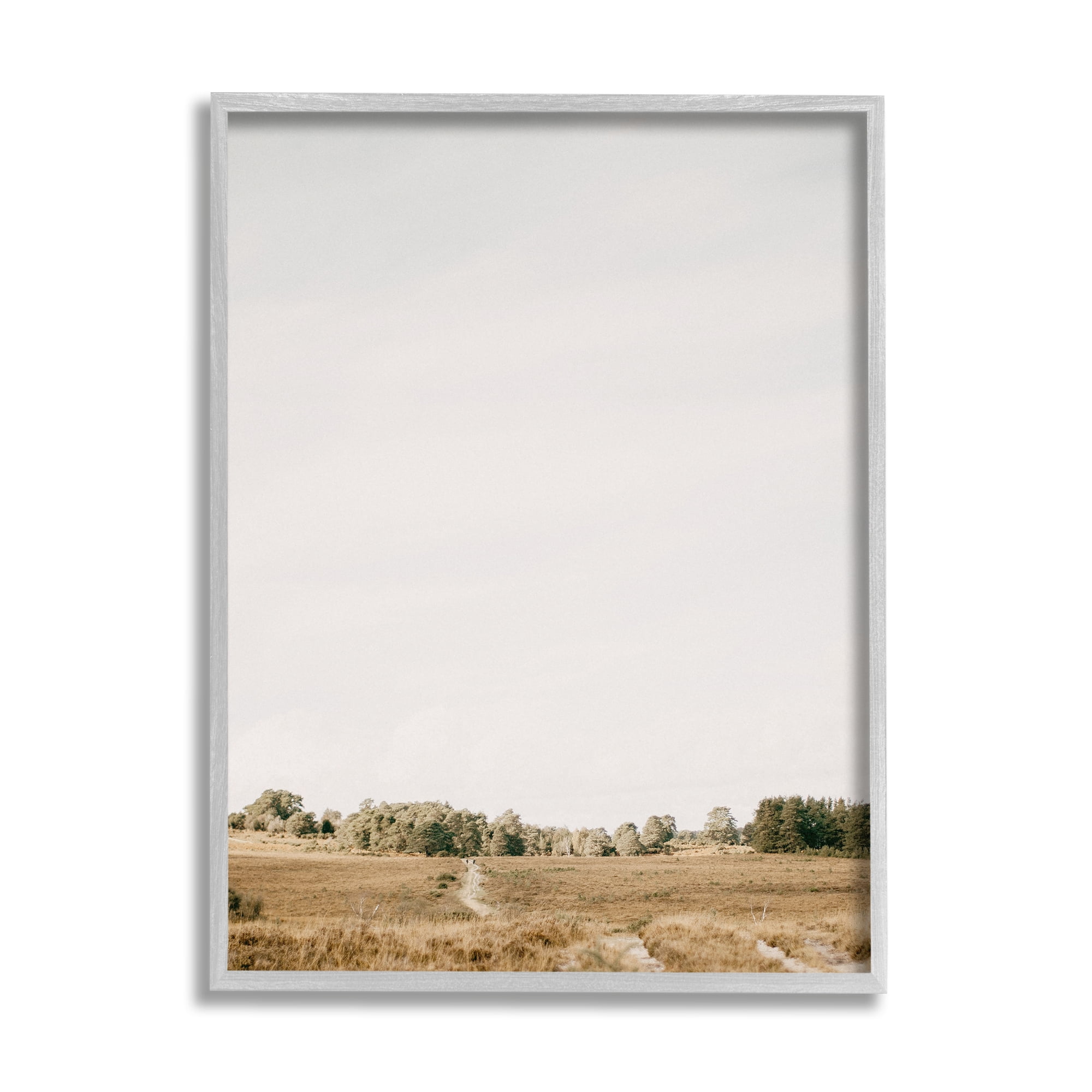 Stupell Industries Country Sky Photography Landscape Photography Gray Framed Art Print Wall Art, 24 x 30