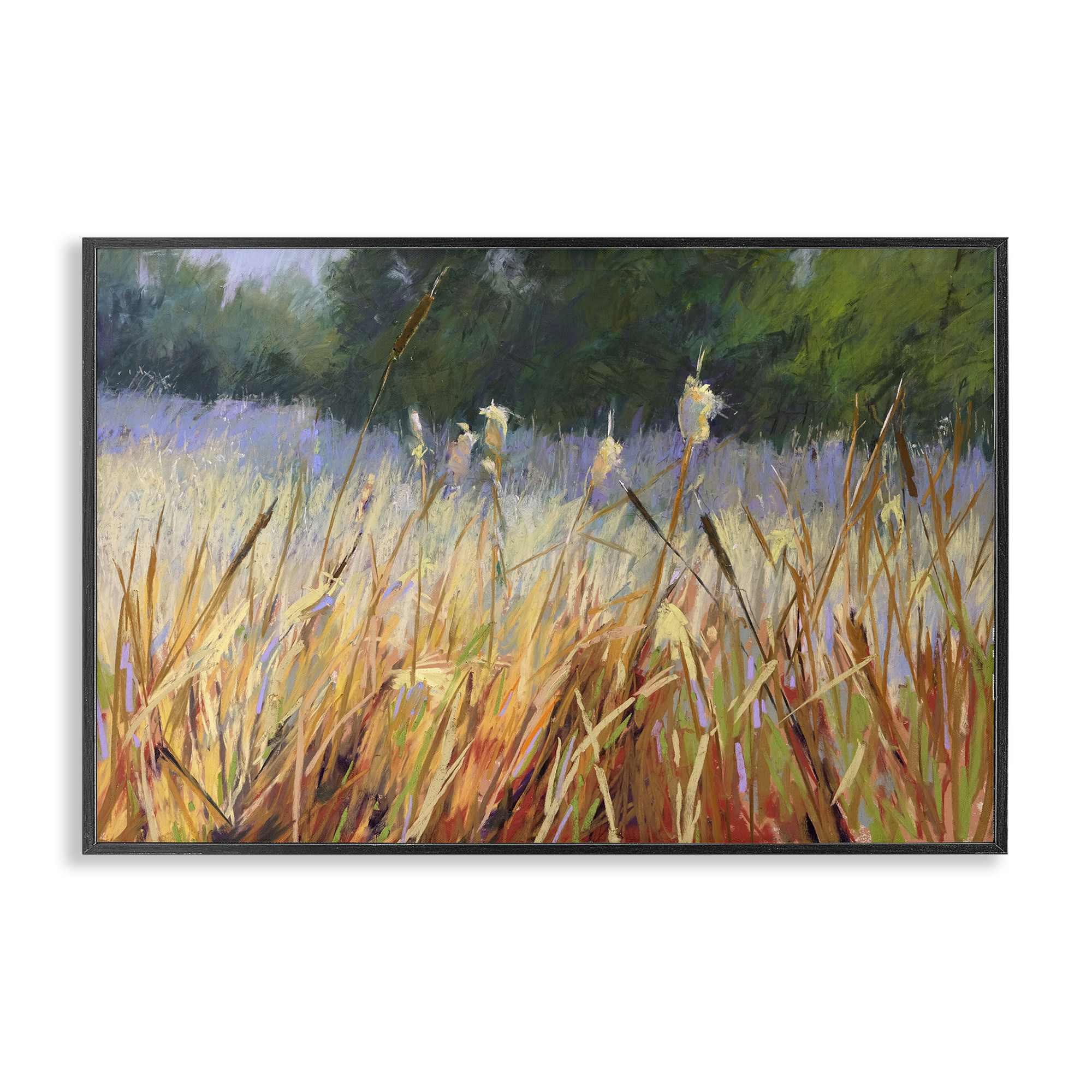 Stupell Industries Country Summer Reeds Landscape & Nature Painting Black Framed Art Print Wall Art, 24 x 16