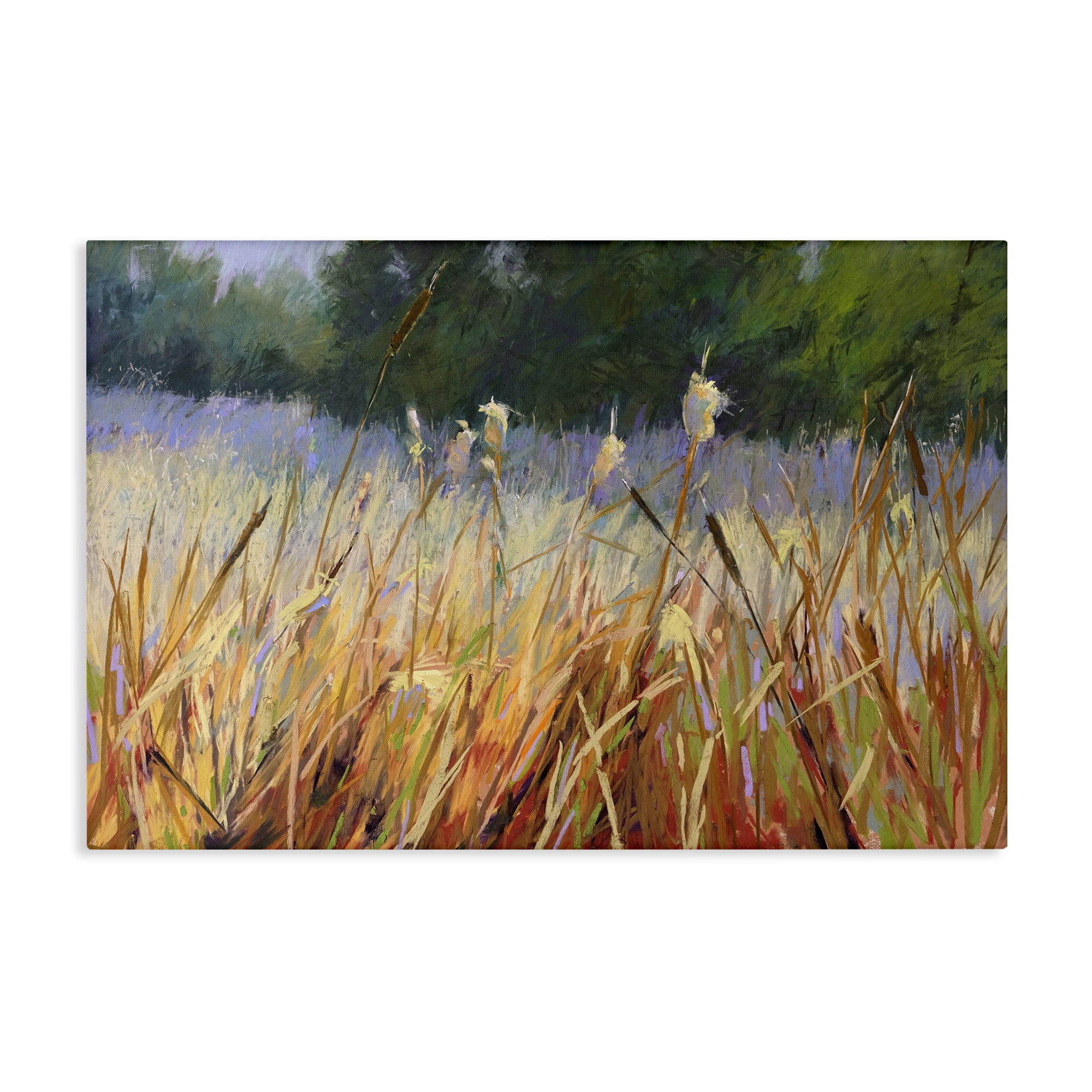 Stupell Industries Country Summer Reeds Landscape & Nature Painting Wrapped Canvas Art Print Wall Art, 45 x 30