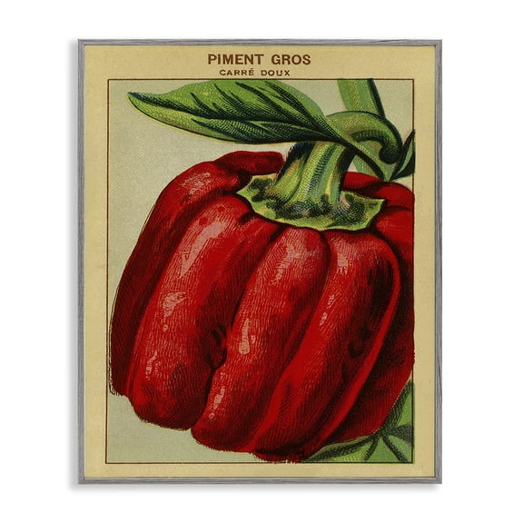 Stupell Industries Country Vintage Pepper Food & Beverage Painting Gray Framed Art Print Wall Art, 24 x 30
