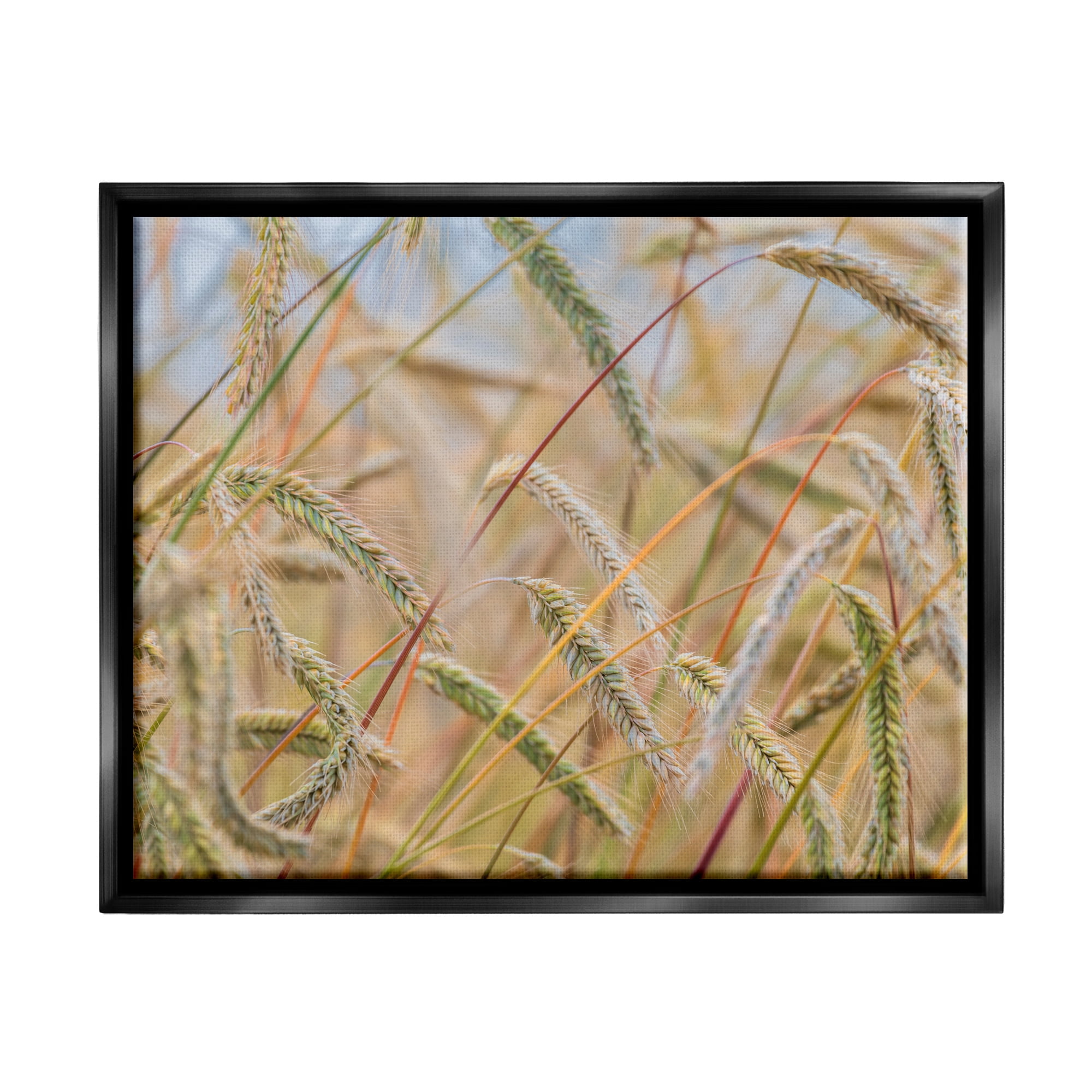 Stupell Industries Country Wheat Photography Nature Photography Black Floater Framed Art Print Wall Art, 21 x 17