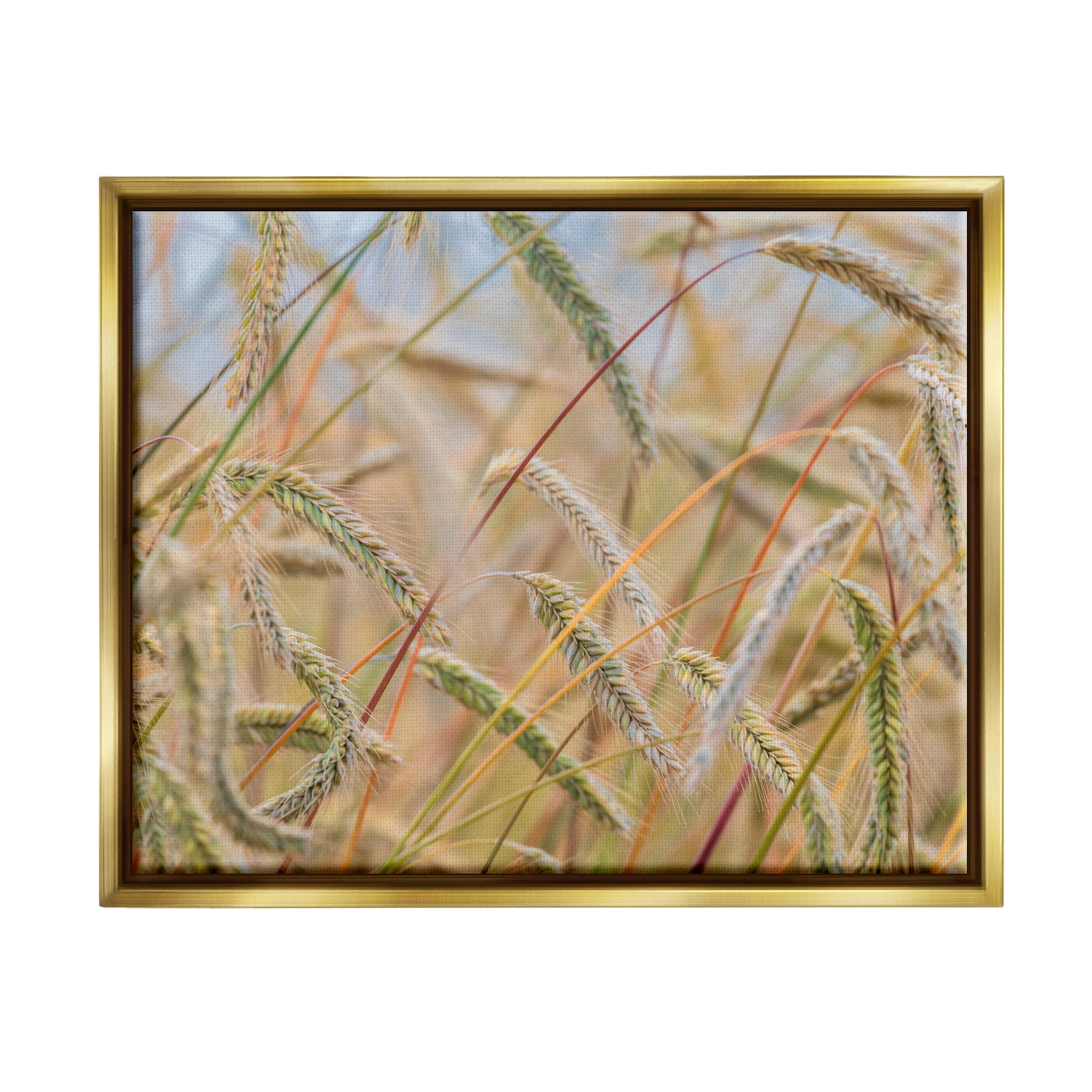 Stupell Industries Country Wheat Photography Nature Photography Gold Floater Framed Art Print Wall Art, 21 x 17
