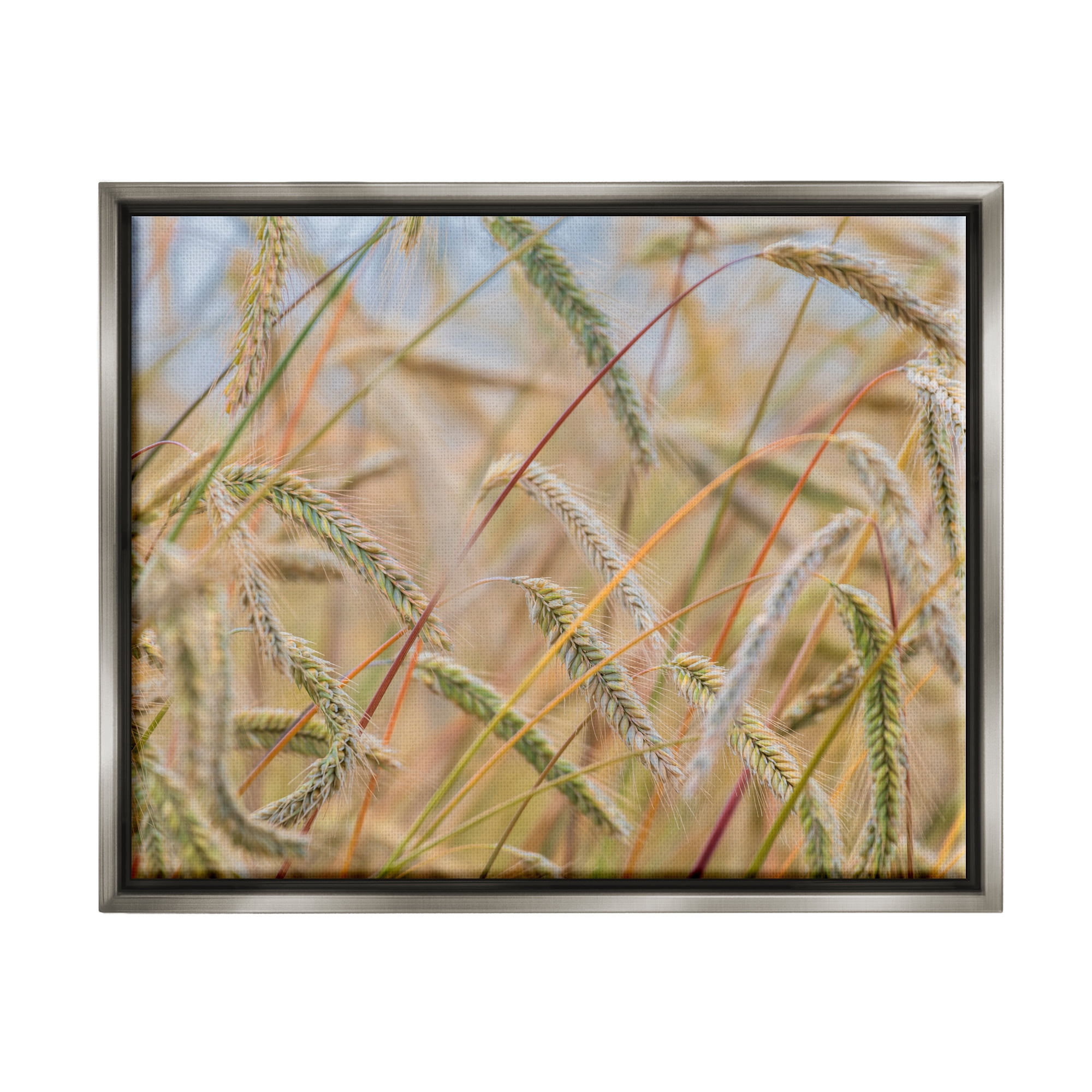 Stupell Industries Country Wheat Photography Nature Photography Gray Floater Framed Art Print Wall Art, 21 x 17