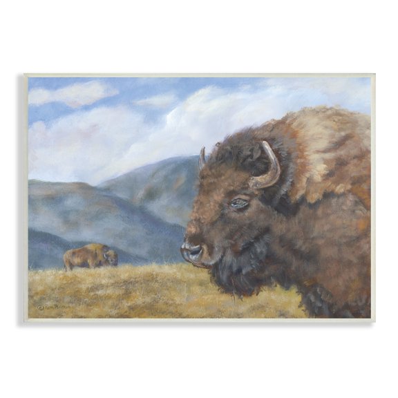 Stupell Industries Countryside Bison Grass Grazing Mountains Cloudy Landscape , 19 x 13, Design by Pam Britton