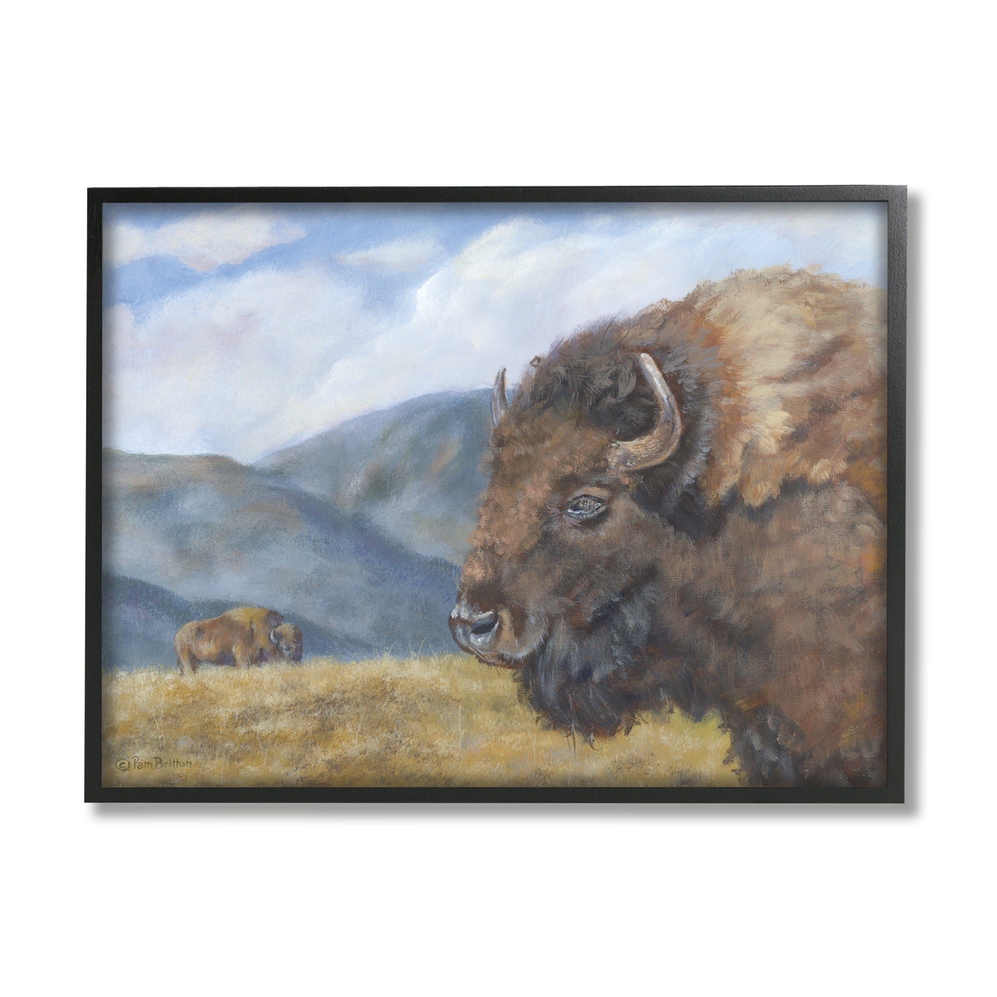 Stupell Industries Countryside Bison Grass Grazing Mountains Cloudy Landscape , 20 x 16, Design by Pam Britton