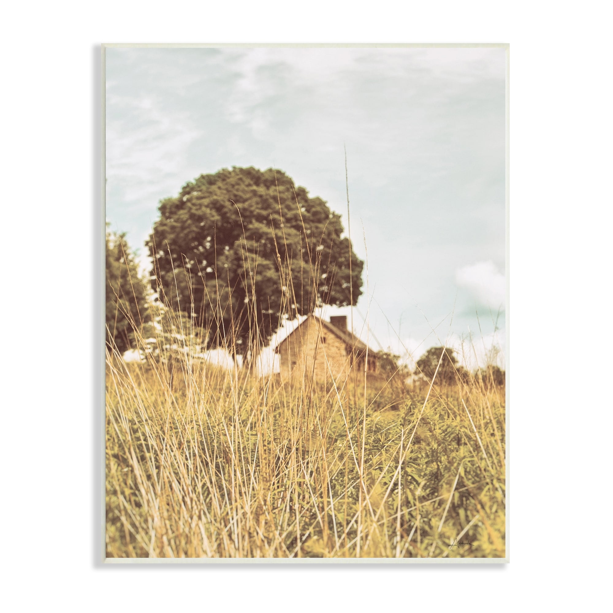 Stupell Industries Countryside Farm Meadow Tall Grass Summer Landscape Photography, 13 x 19,Design by Aledanda
