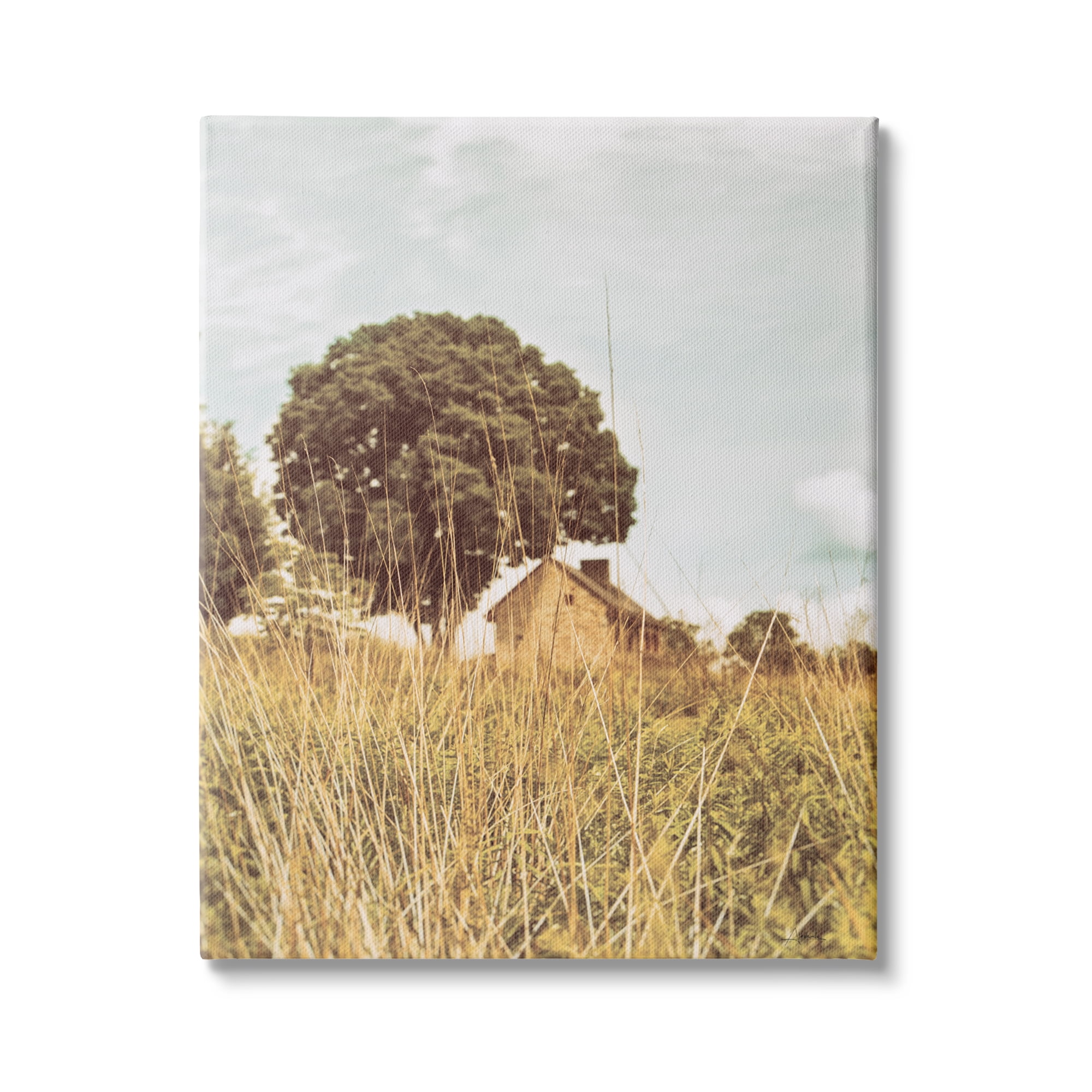 Stupell Industries Countryside Farm Meadow Tall Grass Summer Landscape Photography, 30 x 40,Design by Aledanda