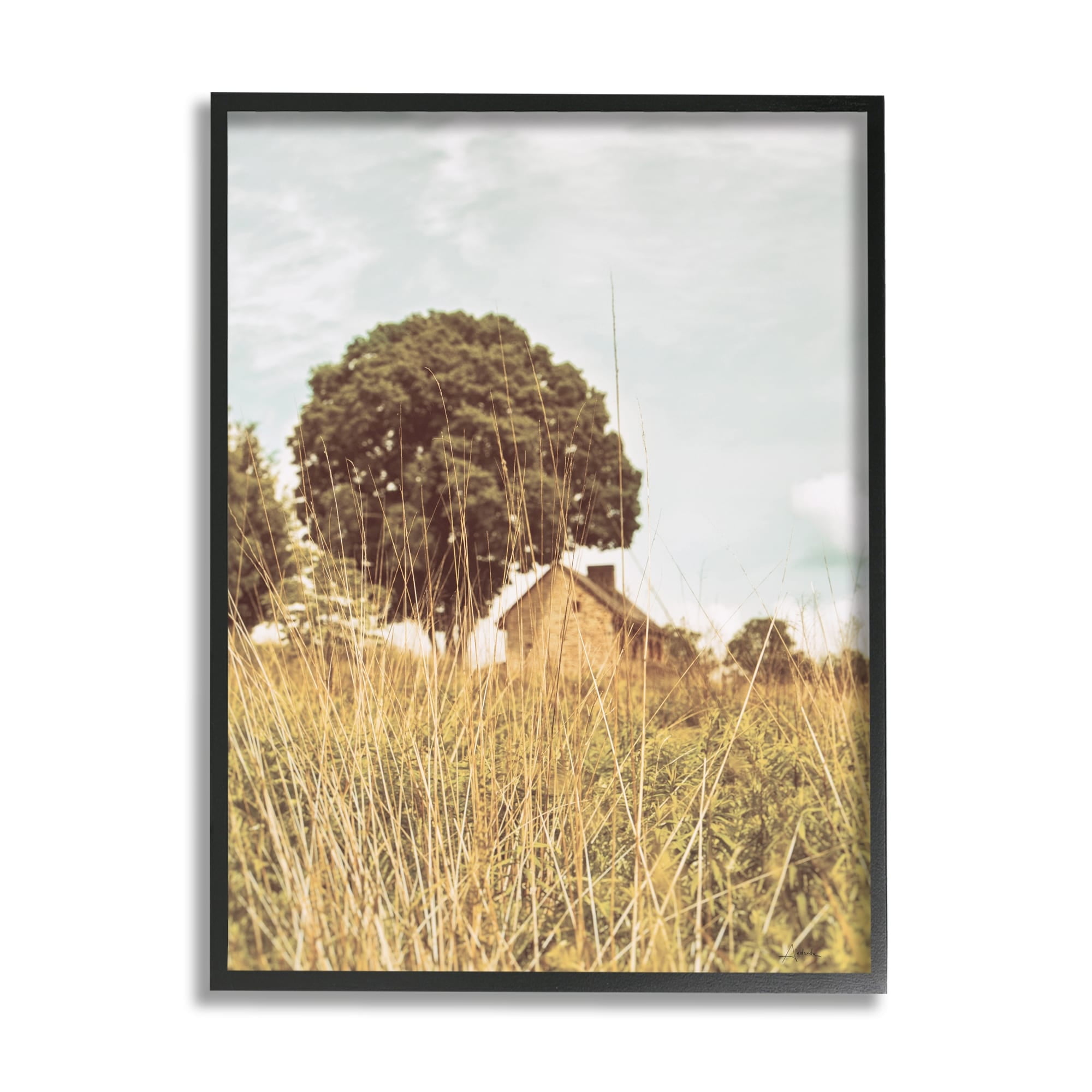 Stupell Industries Countryside Farm Meadow Tall Grass Summer Landscape Photography Black Framed Art Print Wall Art, 11x14, by Aledanda