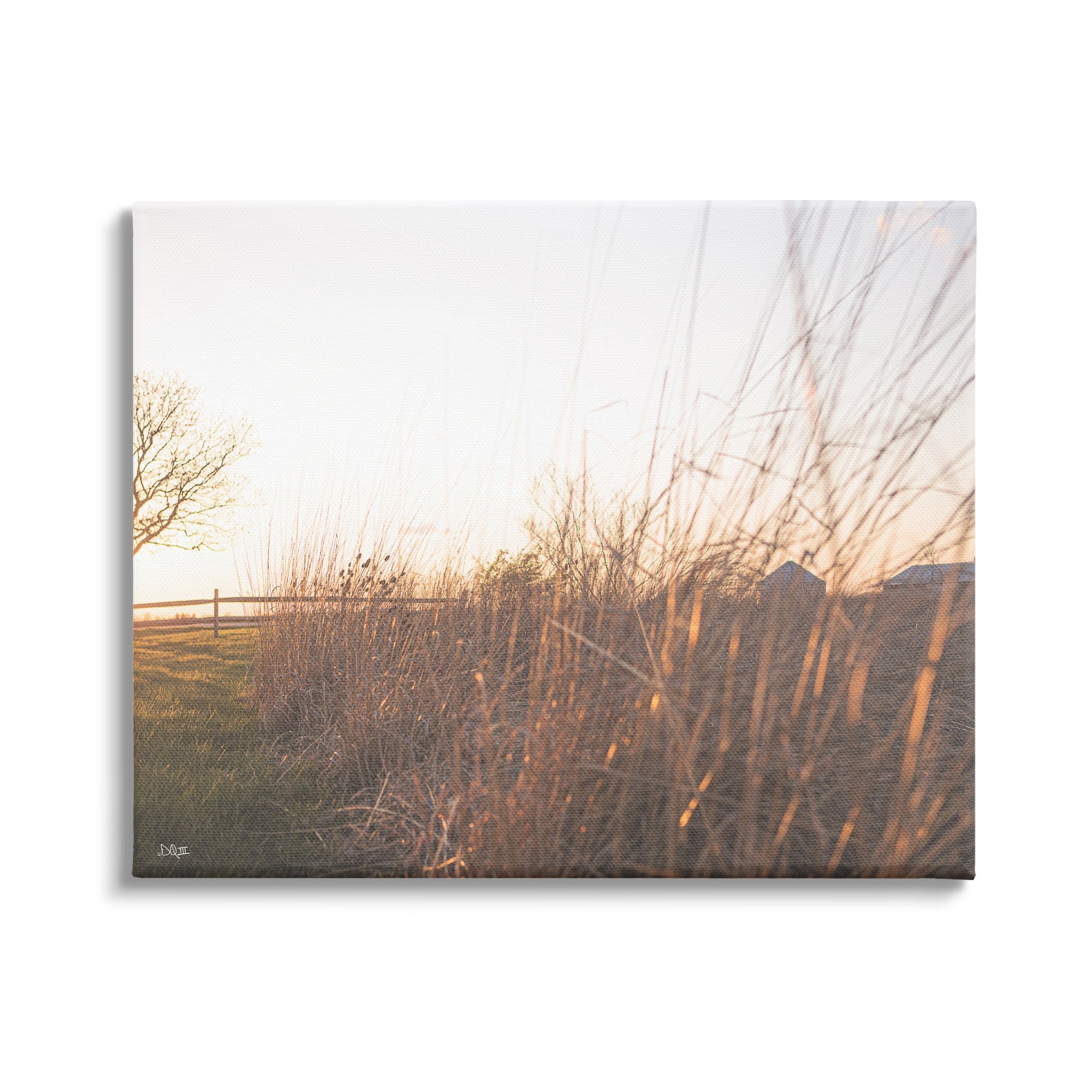 Stupell Industries Countryside Field Tall Grass Summer Sunshine Rays Canvas Wall Art, 30 x 24, Design by Donnie Quillen