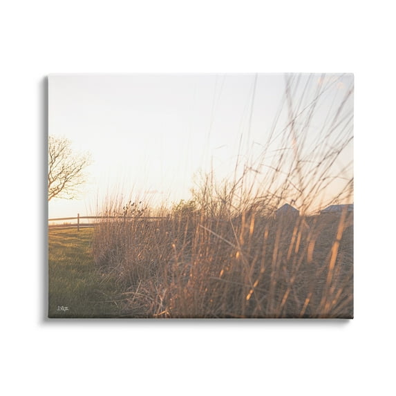 Stupell Industries Countryside Field Tall Grass Summer Sunshine Rays Canvas Wall Art, 40 x 30, Design by Donnie Quillen