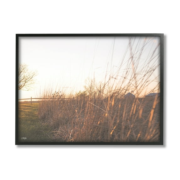 Stupell Industries Countryside Field Tall Grass Summer Sunshine Rays Framed Wall Art, 14 x 11, Design by Donnie Quillen