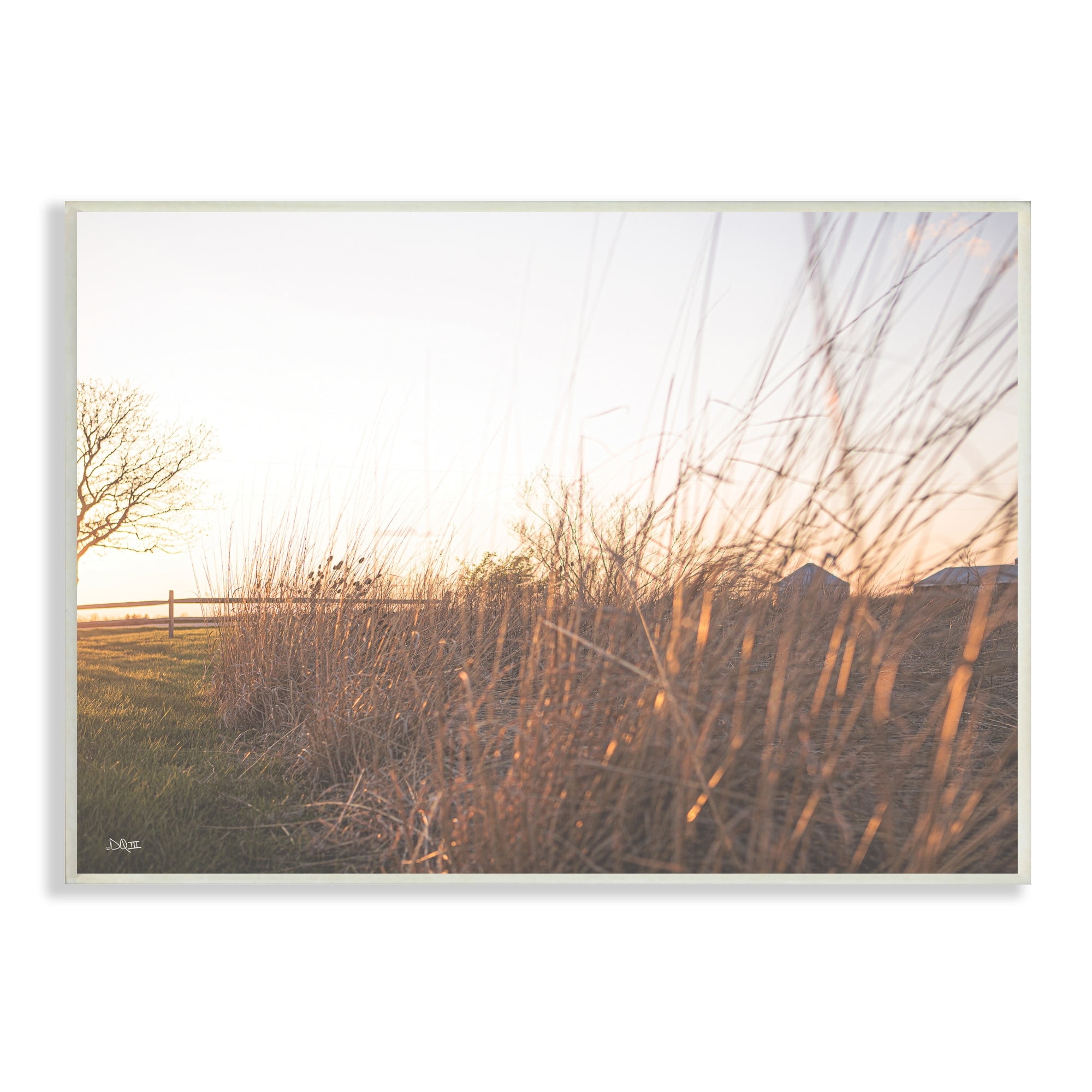 Stupell Industries Countryside Field Tall Grass Summer Sunshine Rays Wood Wall Art, 15 x 10, Design by Donnie Quillen