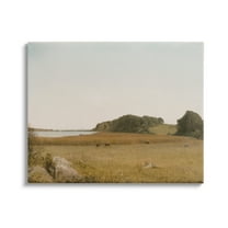 Stupell Industries Countryside Grazing Cows Landscape Photography Gallery Wrapped Canvas Art Print Wall Art, 20 x 16