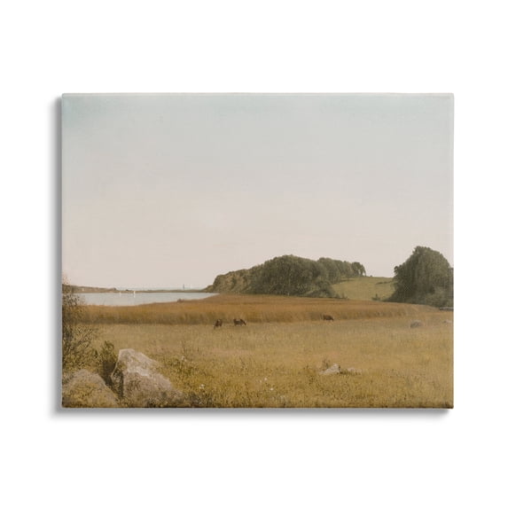 Stupell Industries Countryside Grazing Cows Landscape Photography Gallery Wrapped Canvas Art Print Wall Art, 48 x 36