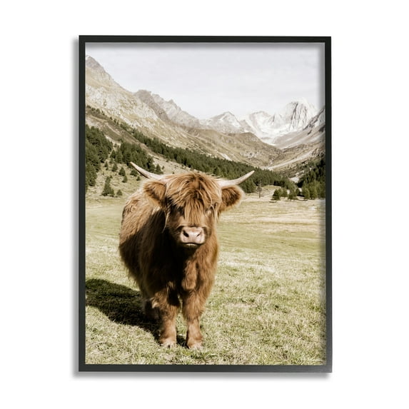 Stupell Industries Countryside Highland Cattle Distant Mountain Longhorn Photograph, 16 x 20, Design by Danita Delimont