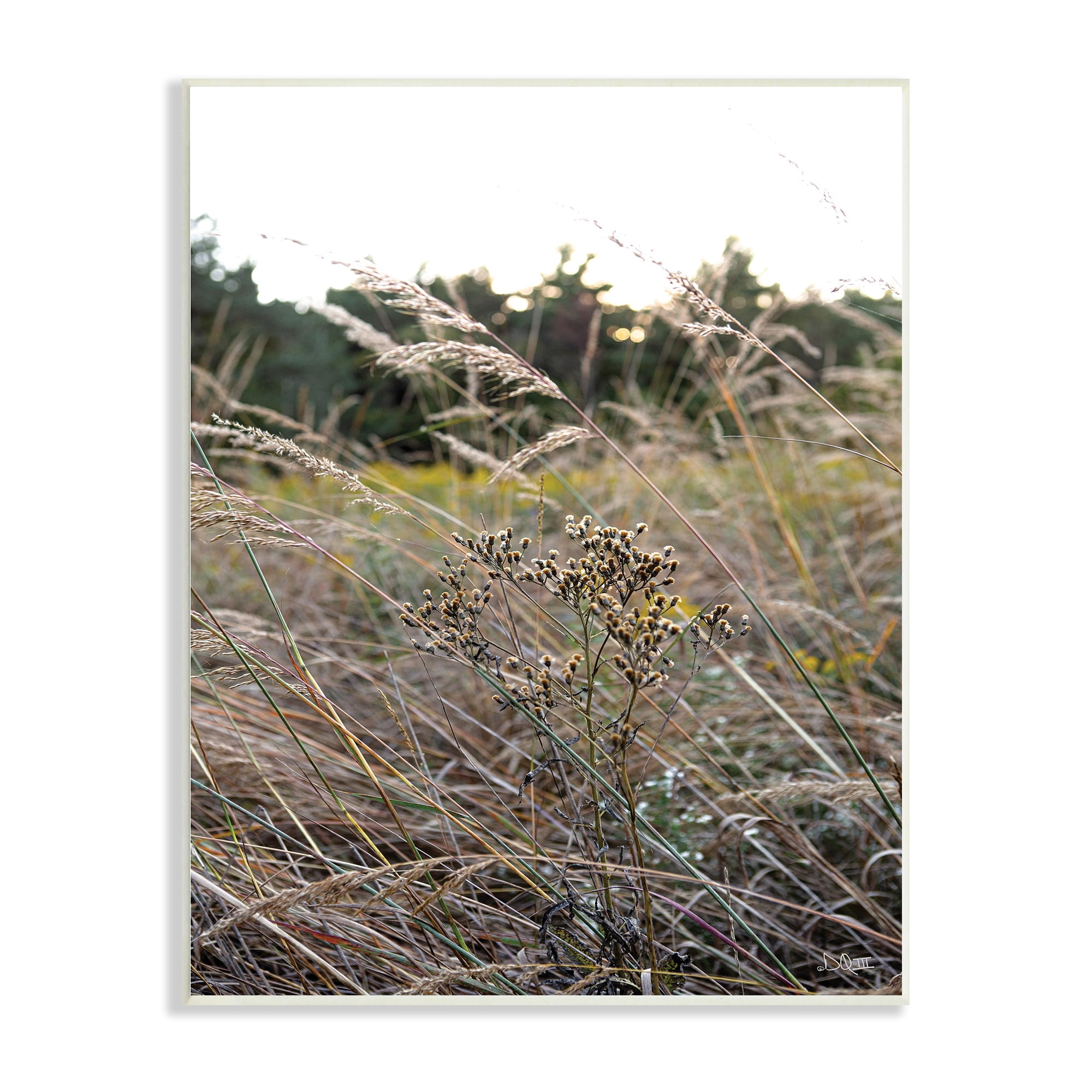 Stupell Industries Countryside Meadow Blooming Reeds Tall Grass Buds Wood Wall Art, 10 x 15, Design by Donnie Quillen