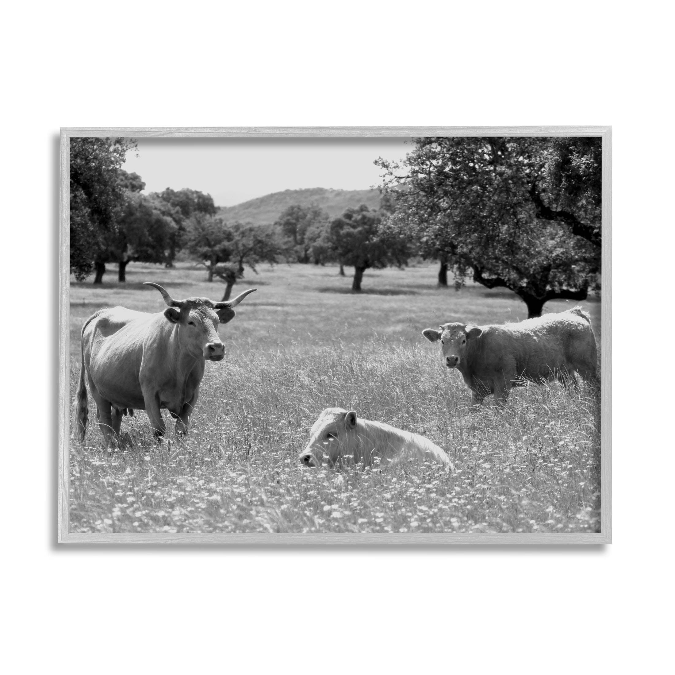 Stupell Industries Countryside Meadow Cattle Photograph Gray Framed Art Print Wall Art, Design by Daphne Polselli