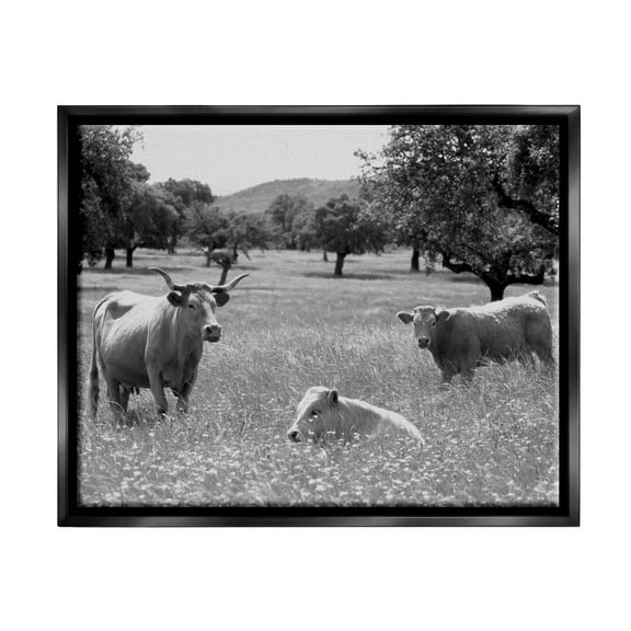 Stupell Industries Countryside Meadow Cattle Photograph Jet Black Floating Framed Canvas Print Wall Art, Design by Daphne Polselli