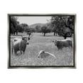 thumbnail image 1 of Stupell Industries Countryside Meadow Cattle Photograph Luster Gray Floating Framed Canvas Print Wall Art, Design by Daphne Polselli, 1 of 6