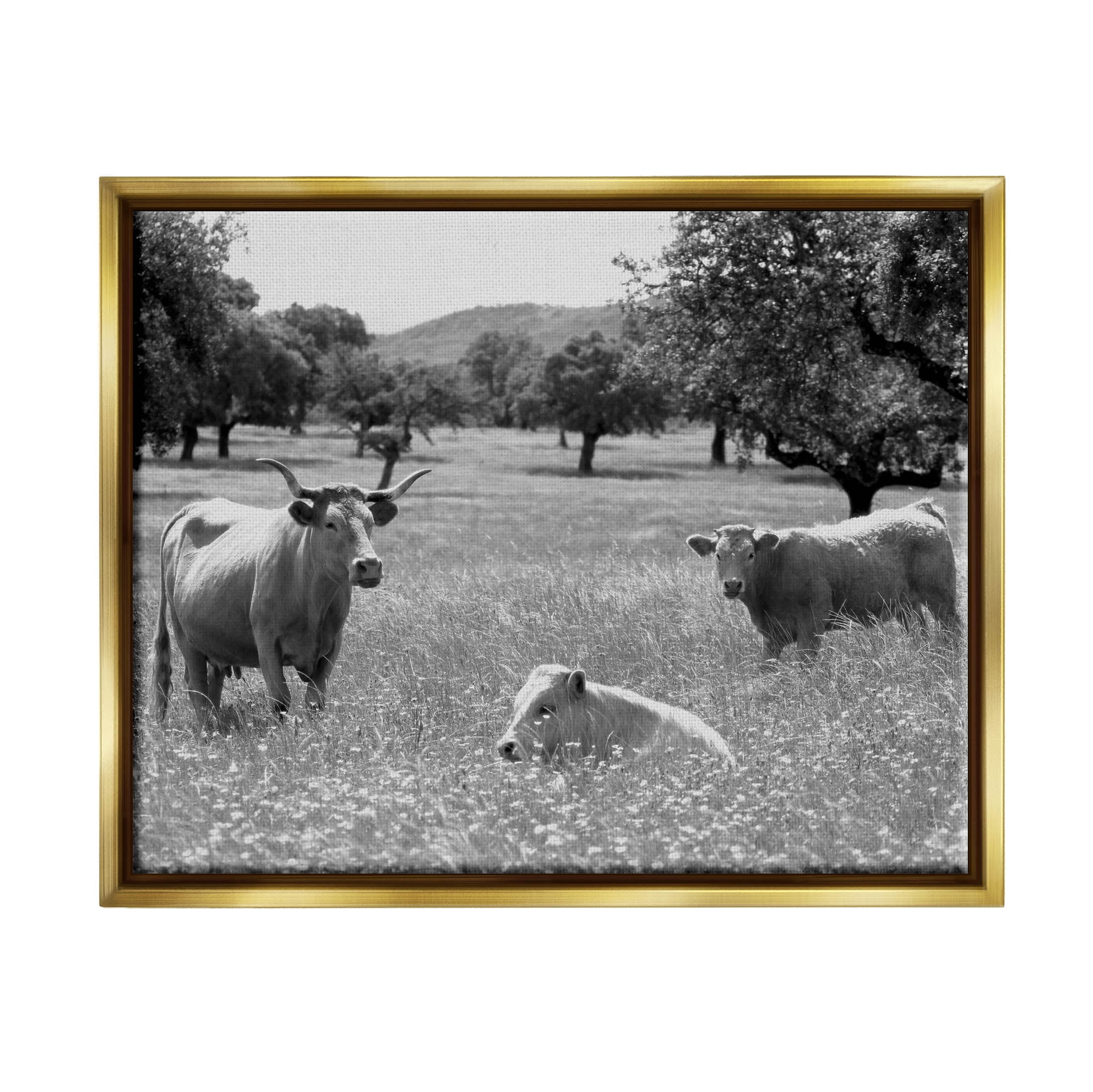 Stupell Industries Countryside Meadow Cattle Photograph Metallic Gold Floating Framed Canvas Print Wall Art, Design by Daphne Polselli