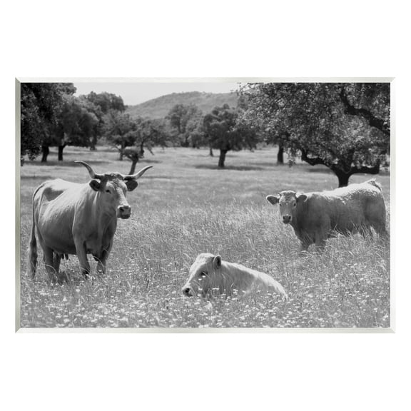 Stupell Industries Countryside Meadow Cattle Photograph Unframed Art Print Wall Art, Design by Daphne Polselli