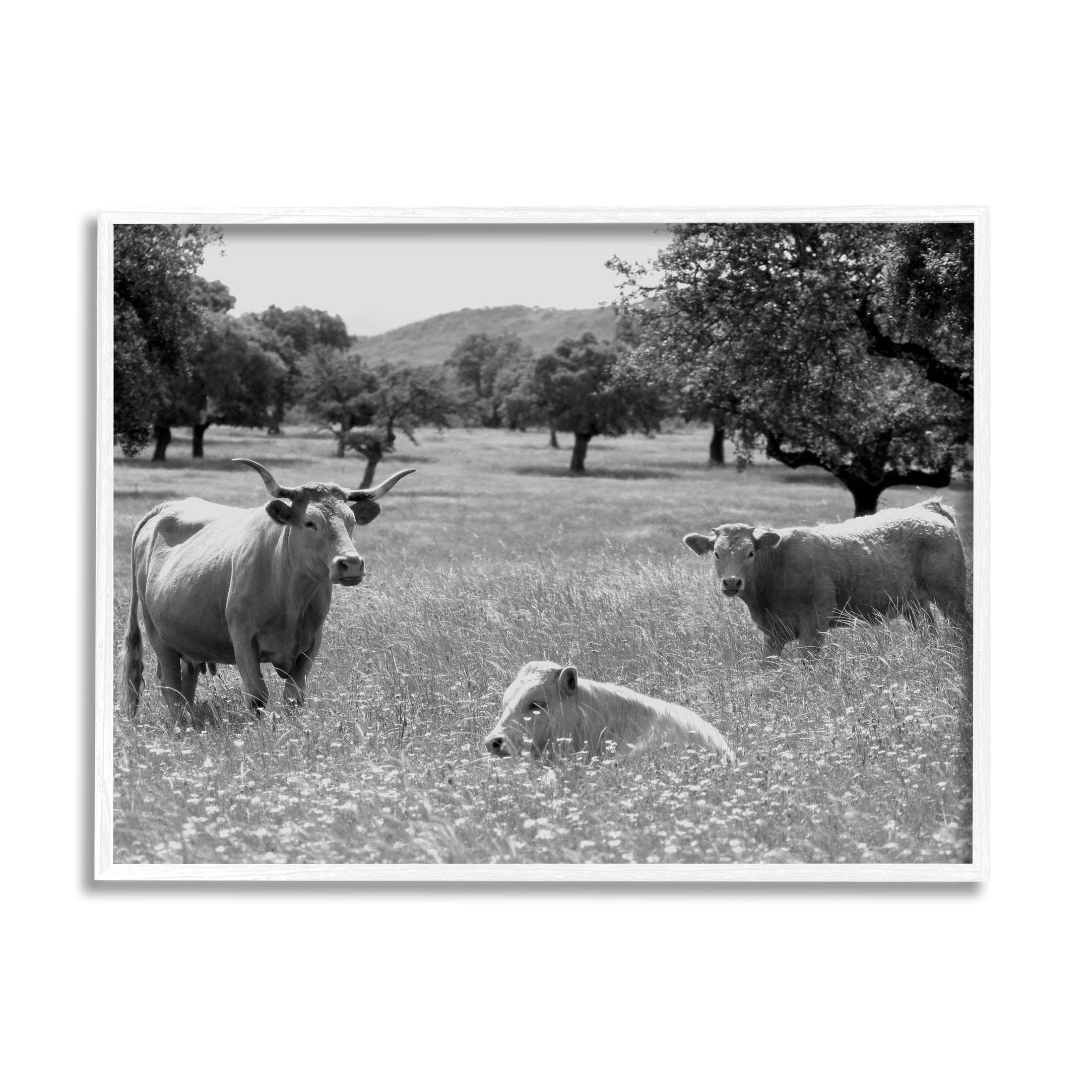 Stupell Industries Countryside Meadow Cattle Photograph White Framed Art Print Wall Art, Design by Daphne Polselli