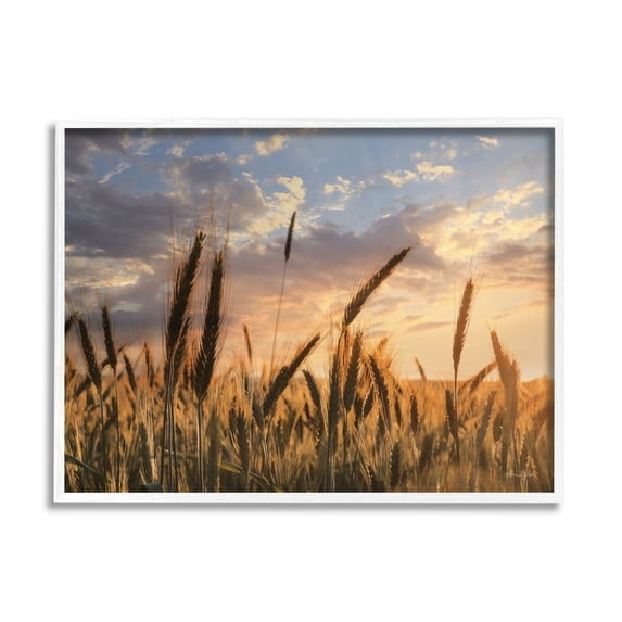 Stupell Industries Countryside Wheat Field Farmland Cloudy Sunset Sky, 20 x 16, Design by Lori Deiter