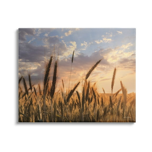 Stupell Industries Countryside Wheat Field Farmland Cloudy Sunset Sky, 30 x 24, Design by Lori Deiter