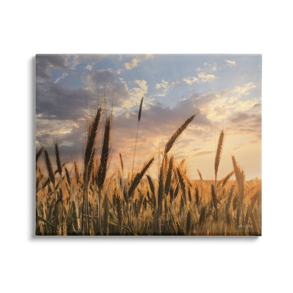 Stupell Industries Countryside Wheat Field Farmland Cloudy Sunset Sky, 48 x 36, Design by Lori Deiter