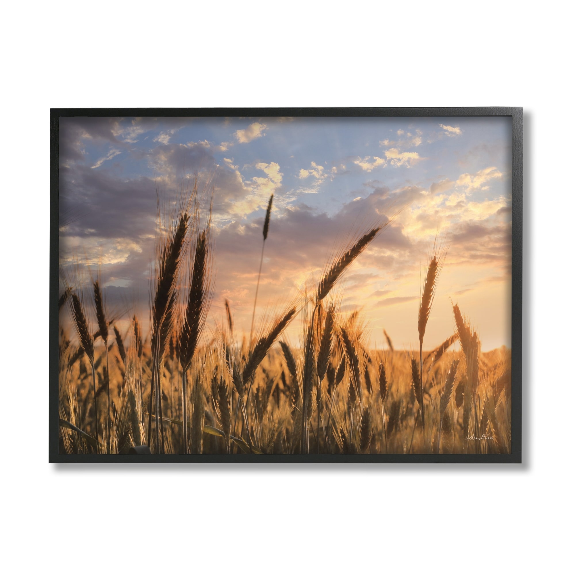 Stupell Industries Countryside Wheat Field Farmland Cloudy Sunset Sky Photography Black Framed Art Print Wall Art, 14x11, by Lori Deiter