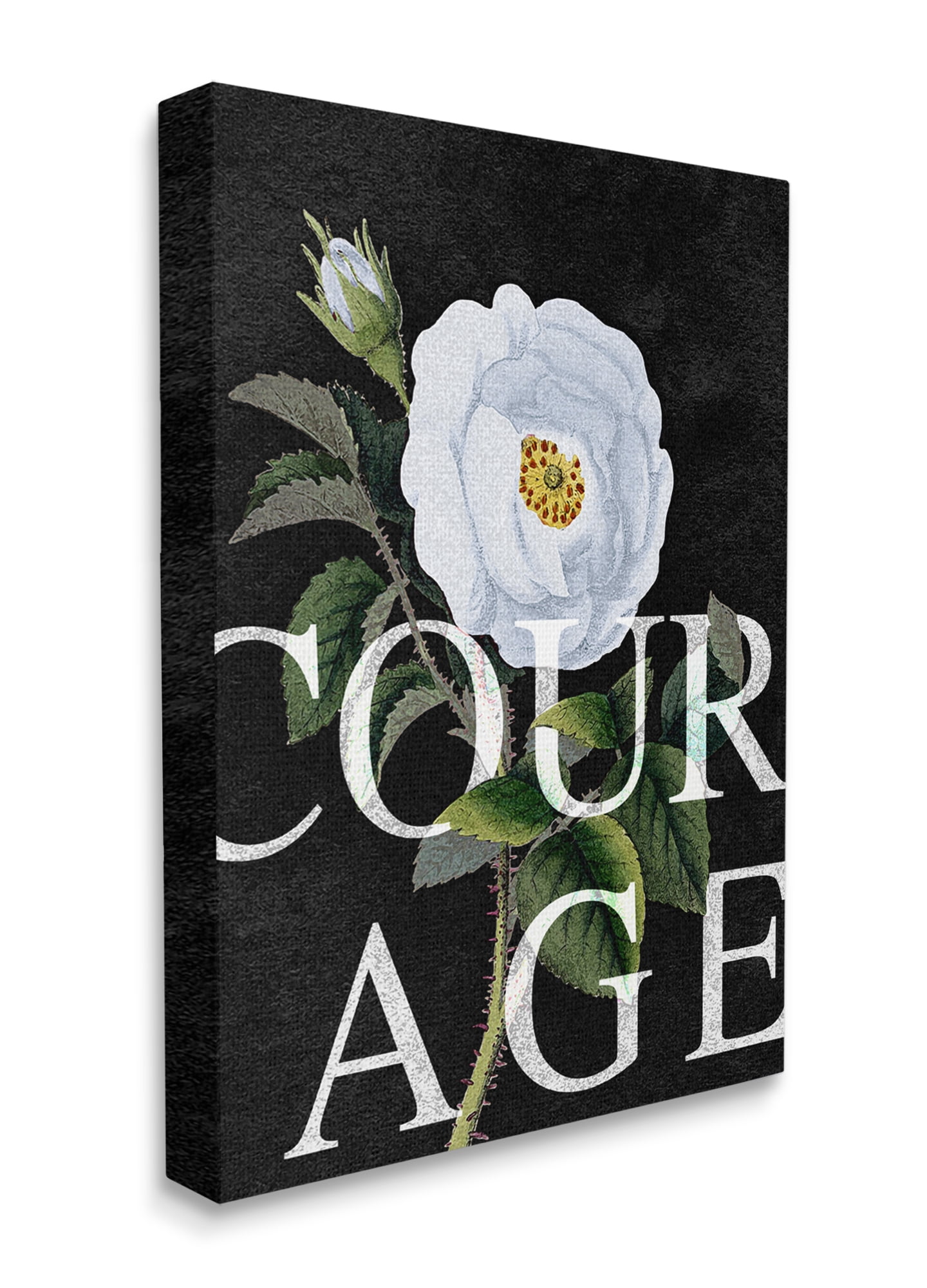 Stupell Industries Courage Text over Vintage White Rose Floral Canvas Wall Art, 30 x 40, Design by Daphne Polselli