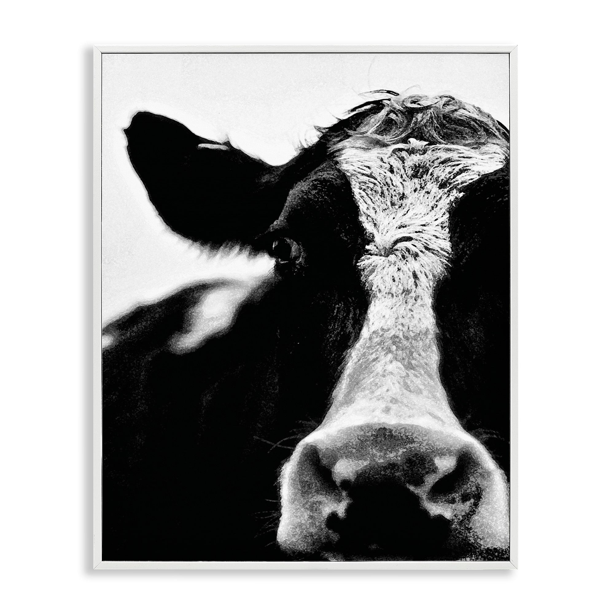 Stupell Industries Cow Black And White Close Up, 24 x 30,Design by Lettered and Lined