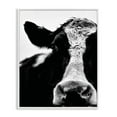 thumbnail image 1 of Stupell Industries Cow Black And White Close Up, 24 x 30,Design by Lettered and Lined, 1 of 5