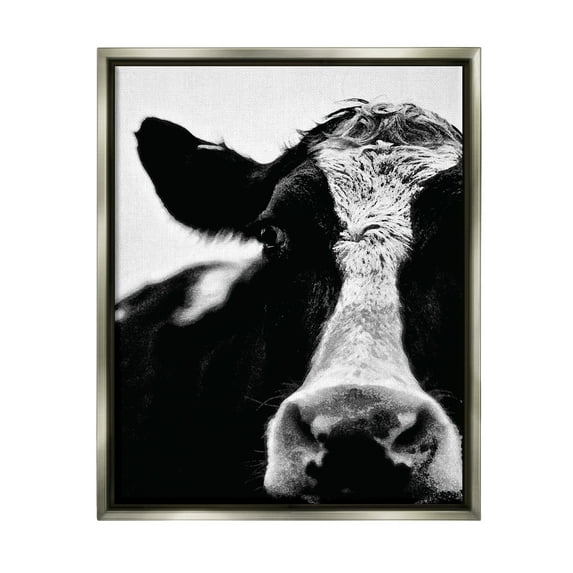 Stupell Industries Cow Black And White Close Up Luster Gray Framed Floating Canvas Wall Art, 24x30, by Lettered and Lined
