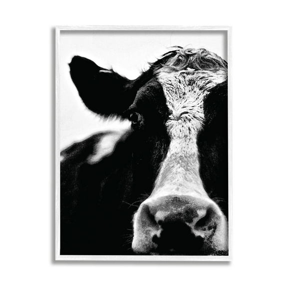 Stupell Industries Cow Black And White Close Up Photography White Framed Art Print Wall Art, 16x20, by Lettered and Lined