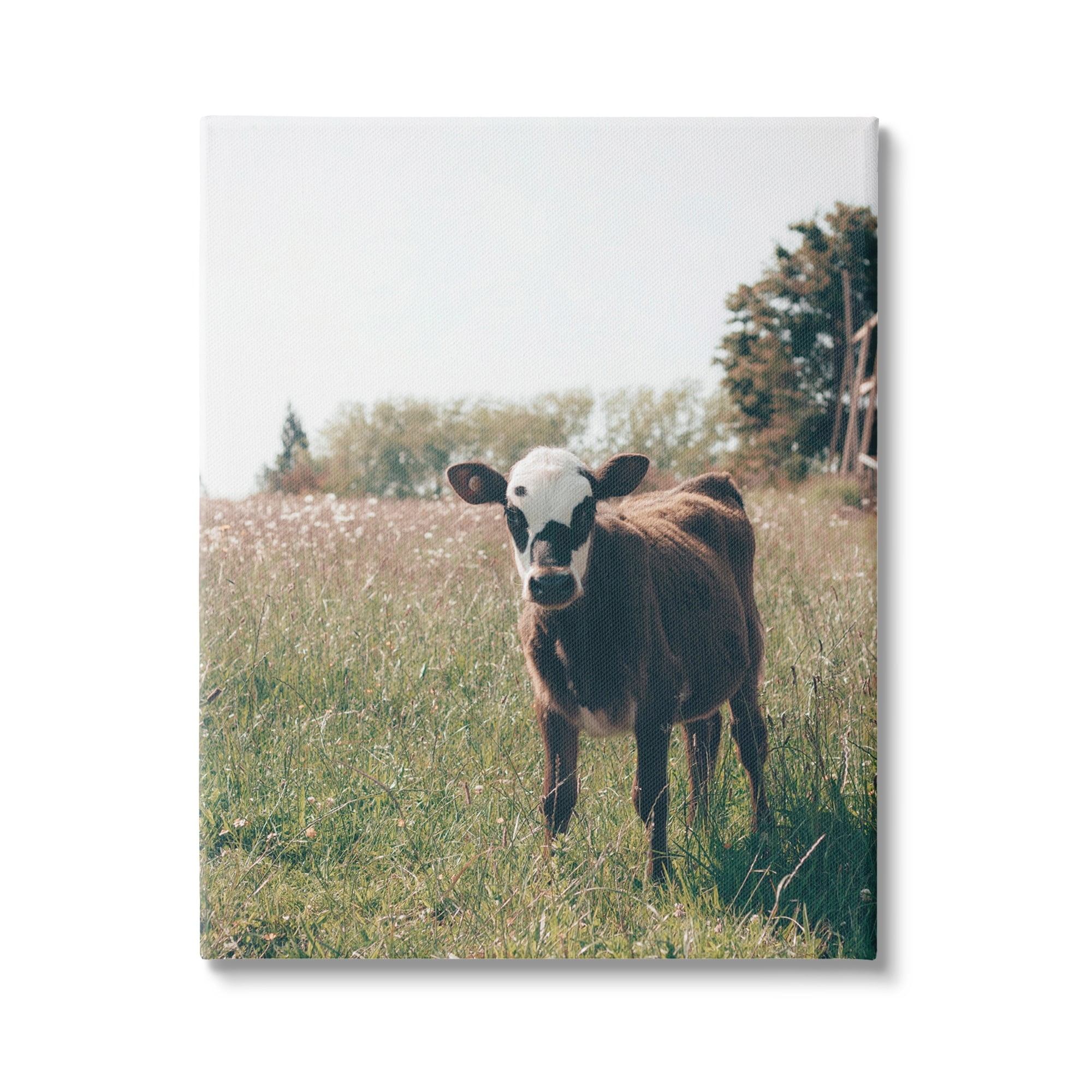 Cow Calf Rural Farm Meadow Canvas Wall Art