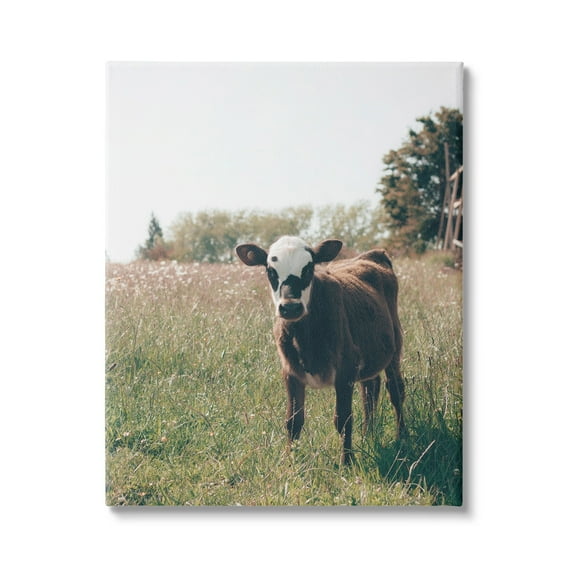 Stupell Industries Cow Calf Rural Farm Meadow Animals & Insects Photography Gallery Wrapped Canvas Print Wall Art