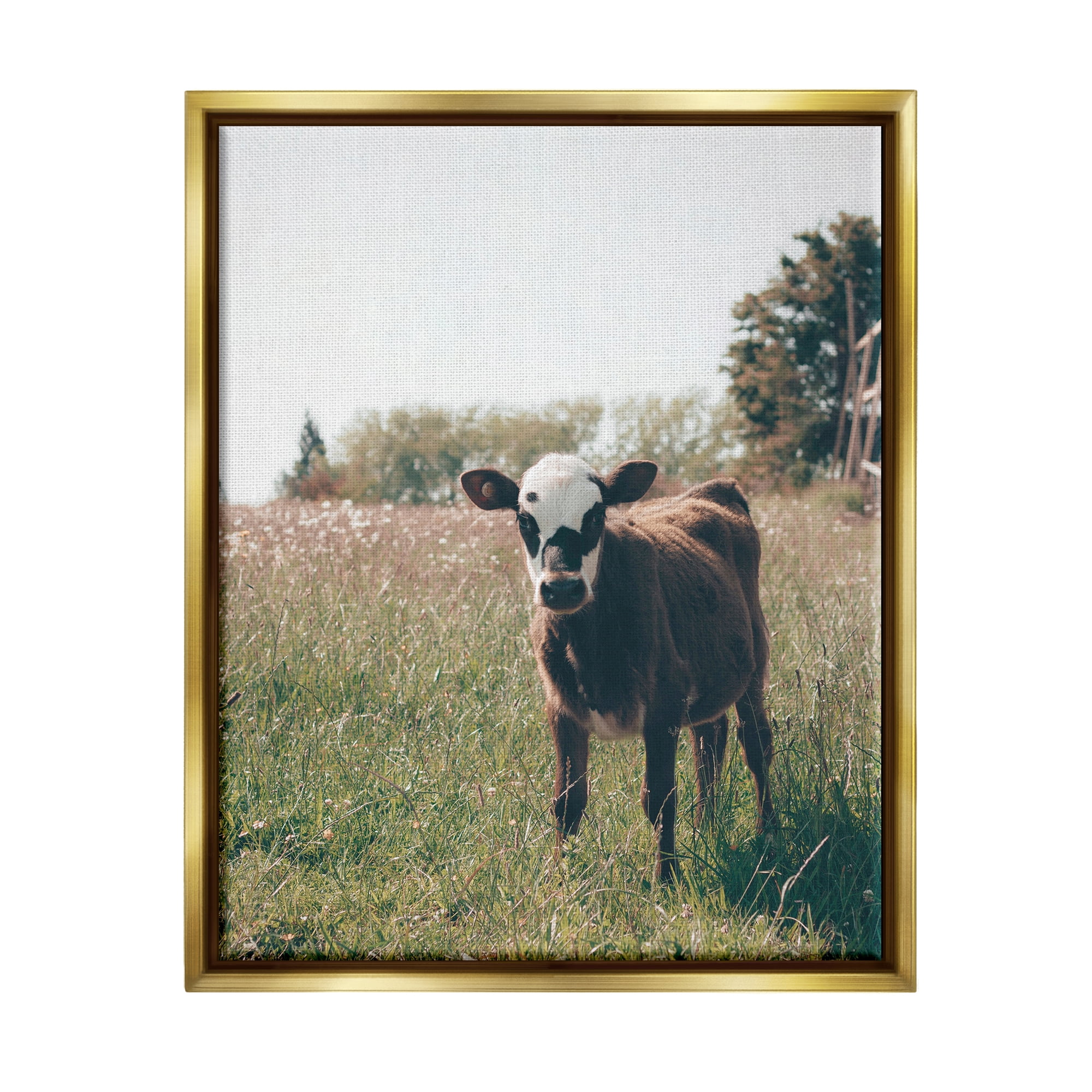 Stupell Industries Cow Calf Rural Farm Meadow Animals & Insects Photography Gold Floater Framed Art Print Wall Art