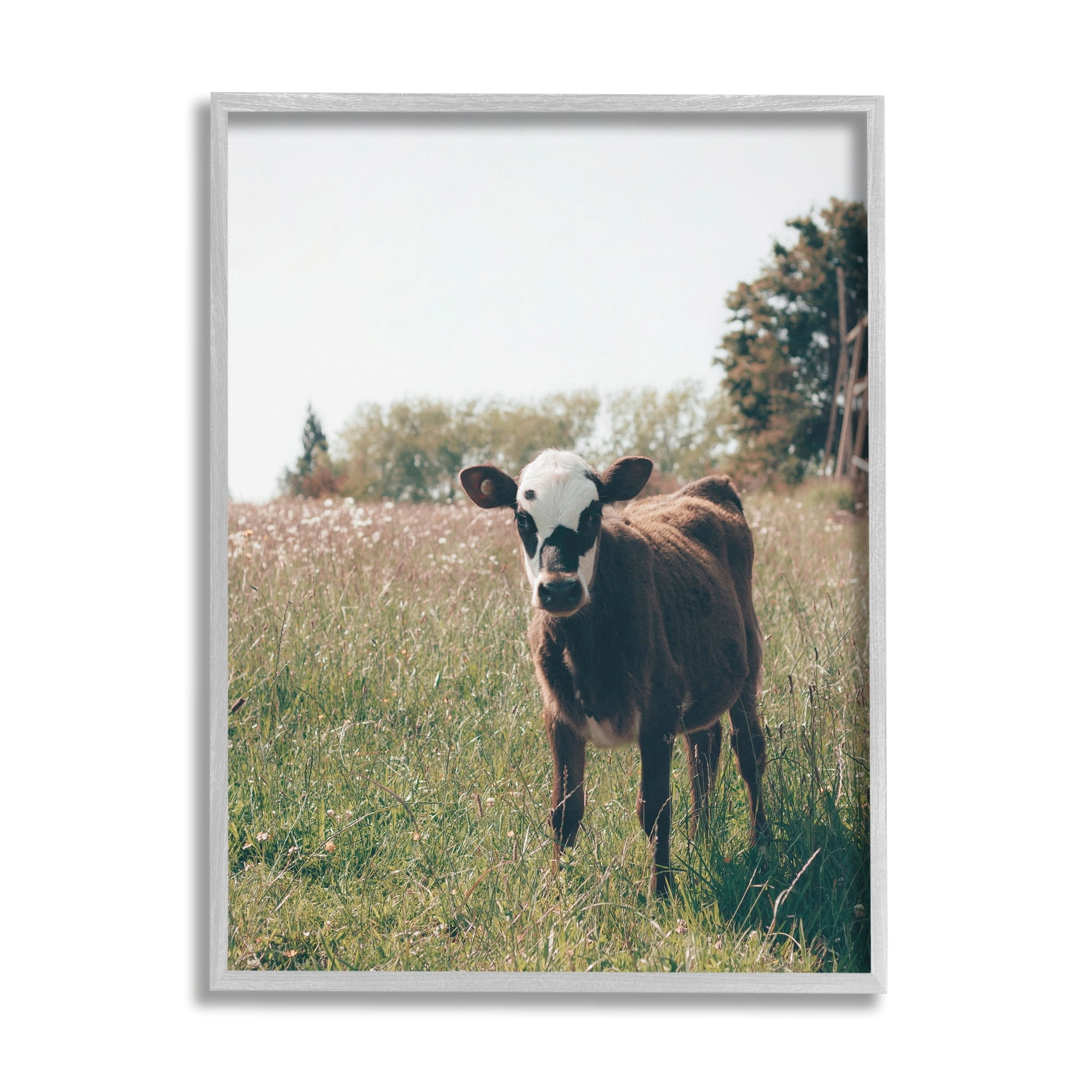 Stupell Industries Cow Calf Rural Farm Meadow Animals & Insects Photography Gray Framed Art Print Wall Art