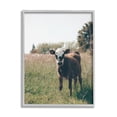 thumbnail image 1 of Stupell Industries Cow Calf Rural Farm Meadow Animals & Insects Photography Gray Framed Art Print Wall Art, 1 of 5