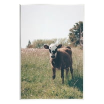 Stupell Industries Cow Calf Rural Farm Meadow Animals & Insects Photography Unframed Art Print Wall Art