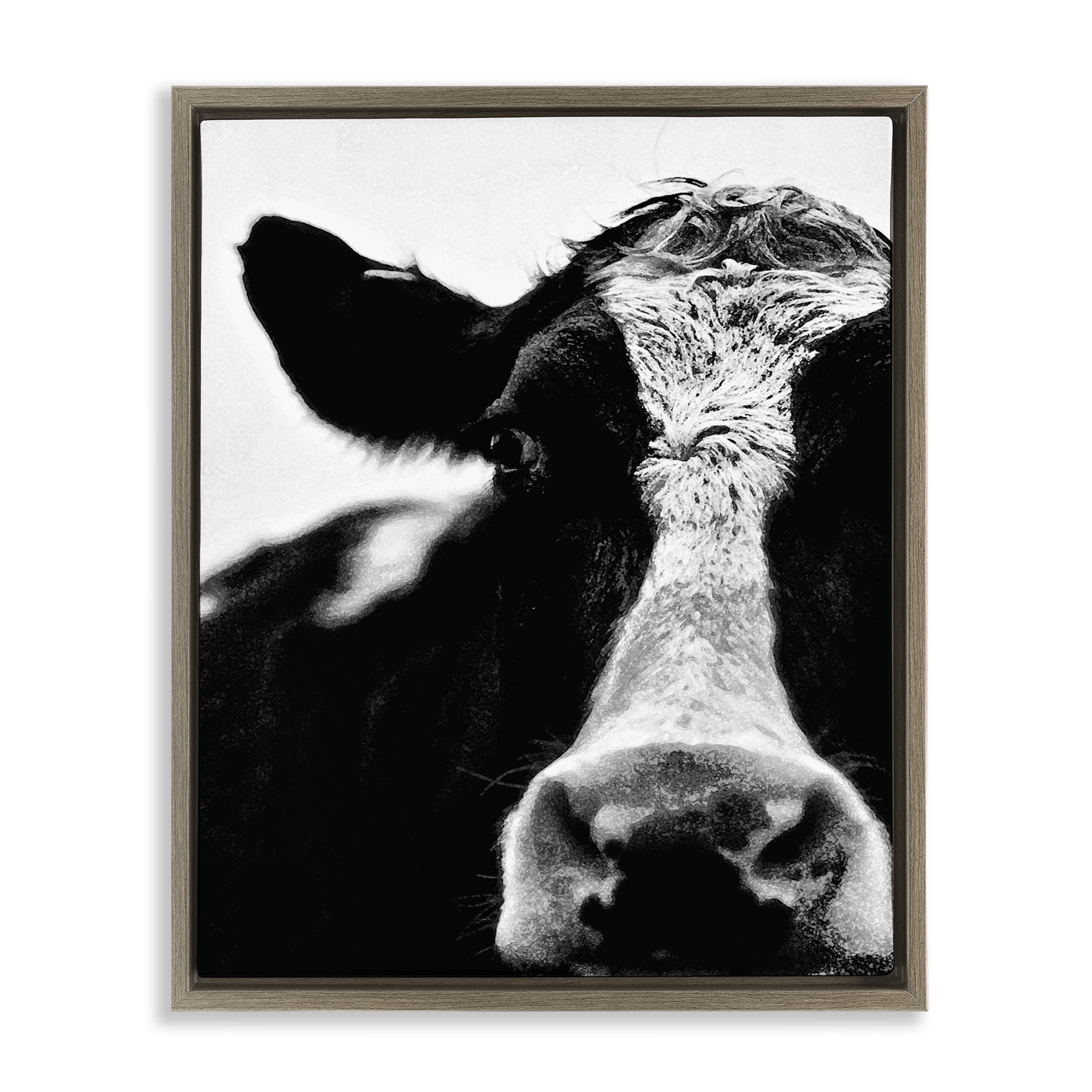Stupell Industries Cow Face Portrait Animals & Insects Photography Brown Floater Framed Canvas Art Print Wall Art, 17 x 21