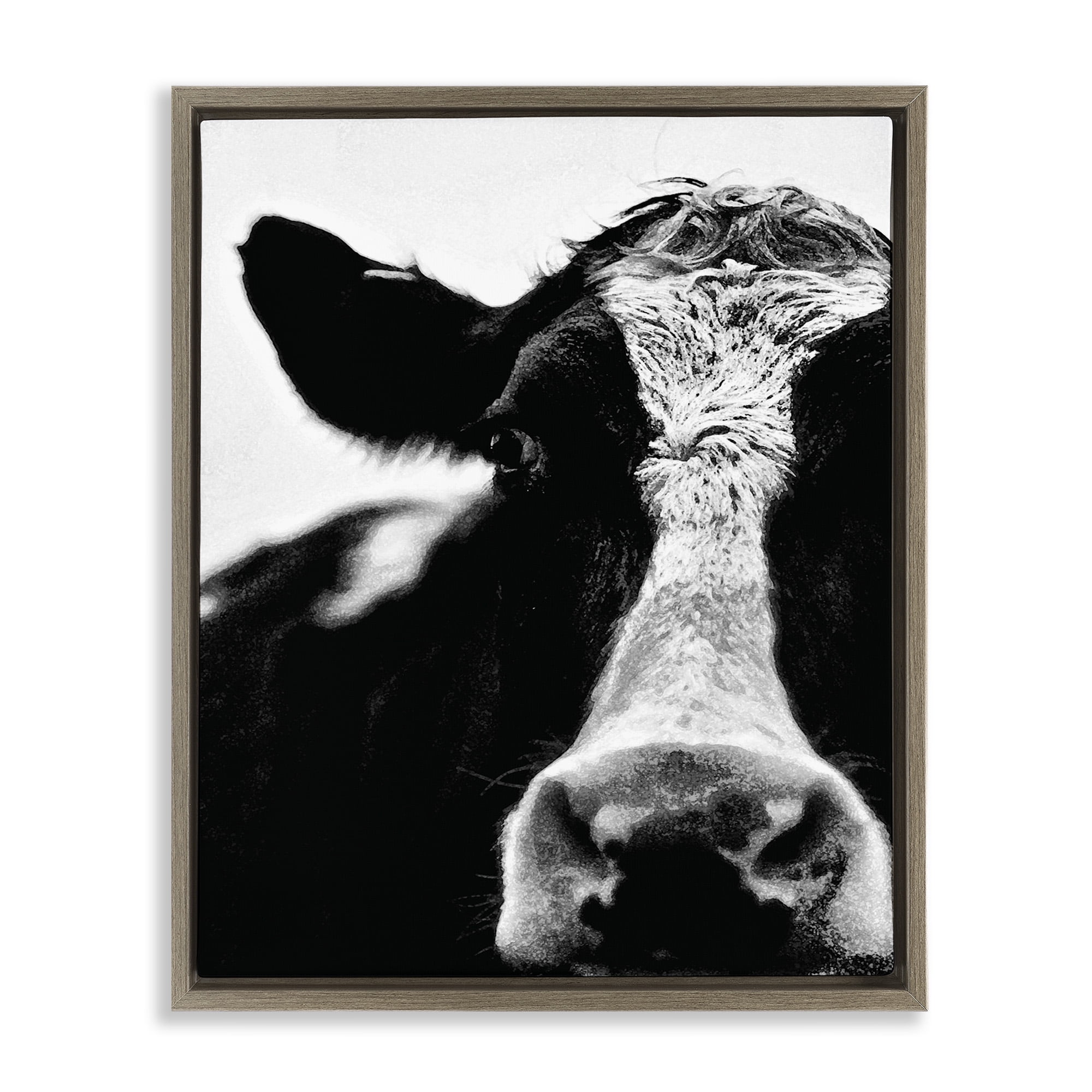 Stupell Industries Cow Face Portrait Animals & Insects Photography ...