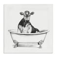 thumbnail image 1 of Cow in Bathtub Sketch Canvas Art, 30 x 30, Made In USA, 1 of 6