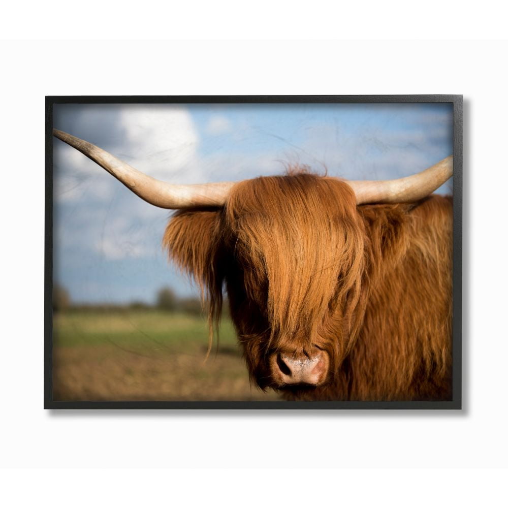 Stupell Industries Cow in Pasture Animal Landscape Photo Framed Giclee Texturized Art by Villager Jim