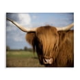 thumbnail image 1 of Stupell Industries Traditional Cow in Pasture Animal Landscape Photo Canvas Art, 48 x 36, by Villager Jim, 1 of 7