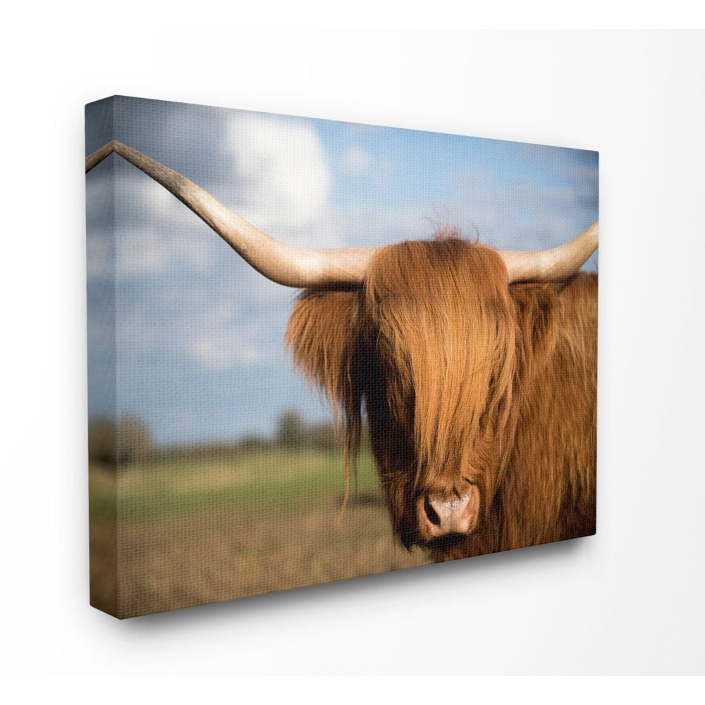 Stupell Industries Cow in Pasture Animal Landscape Photo Super Canvas Wall Art by Villager Jim