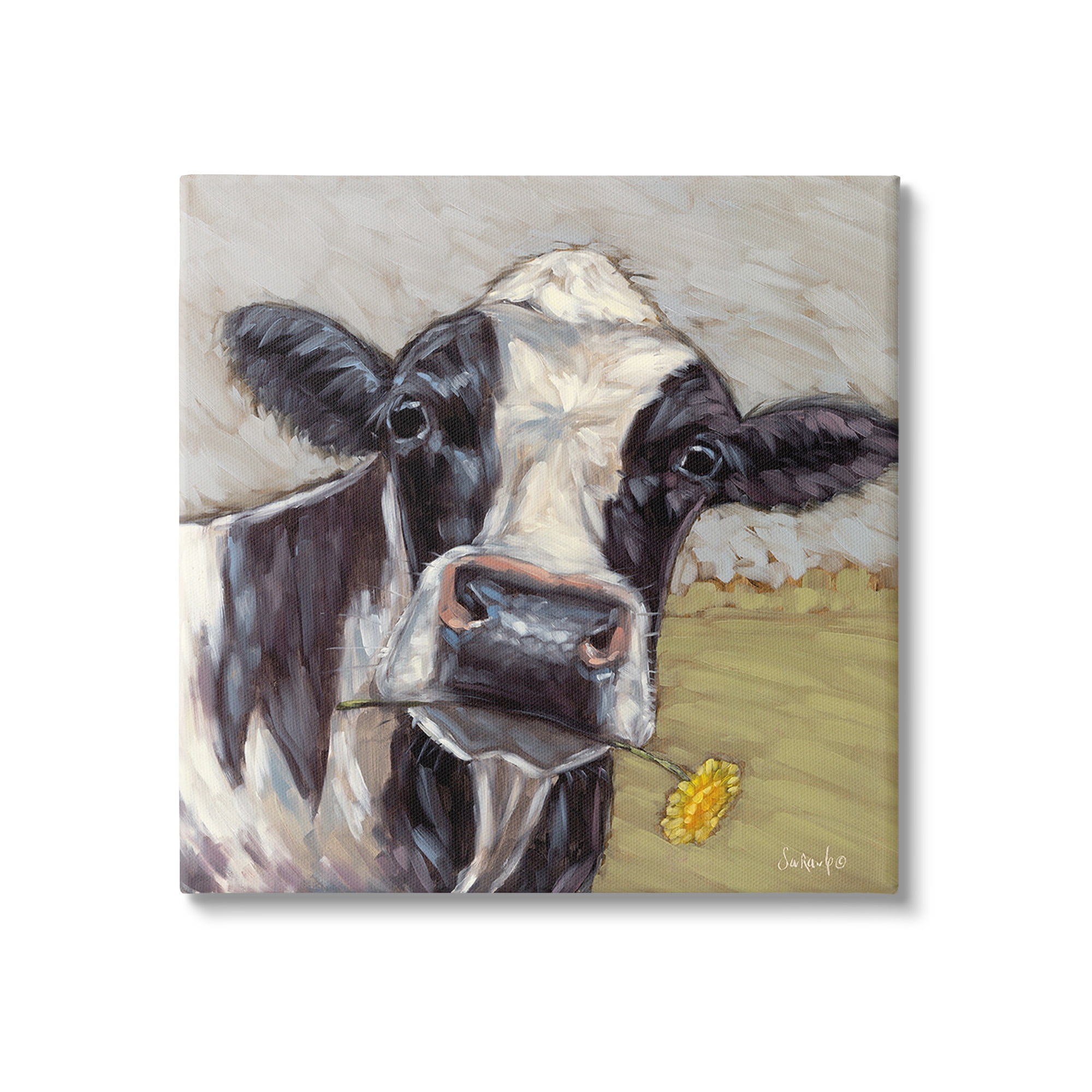 Stupell Industries Cow with Yellow Daisy Animals & Insects Painting Gallery Wrapped Canvas Art Print Wall Art, 17 x 17
