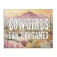 thumbnail image 1 of Stupell Industries Cowgirls Can't Be Tamed Landscape & Nature Painting Wrapped Canvas Art Print Wall Art, 40 x 30, 1 of 8